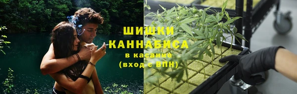 экстази Краснослободск